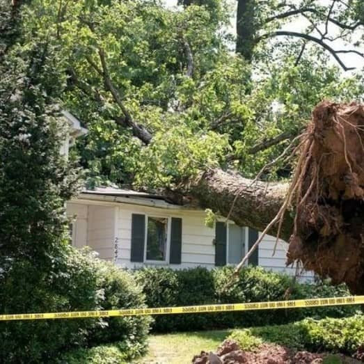Storm Damage Repair Services in Lakewood, CO